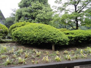 kyaraboku_03